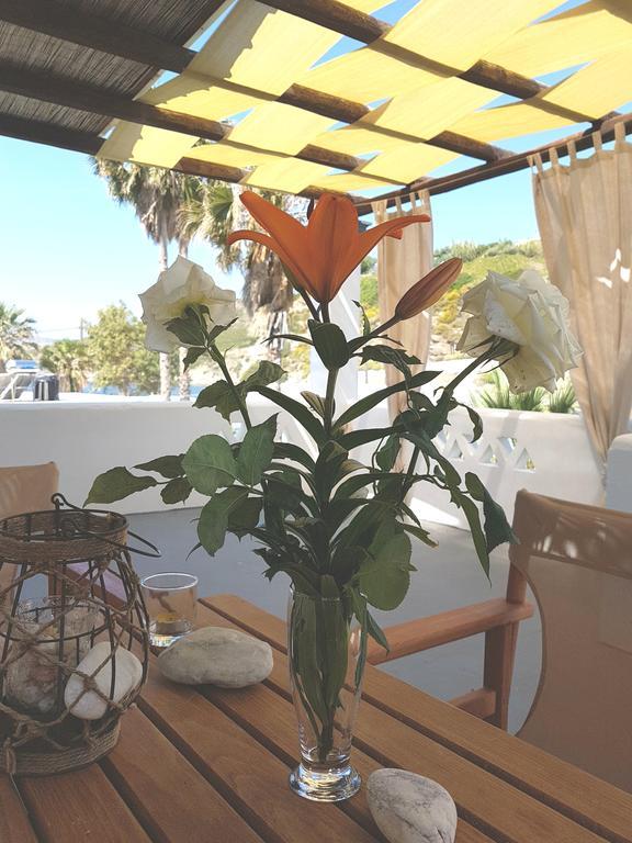 Theo'S Vacation Home 스키로스 외부 사진